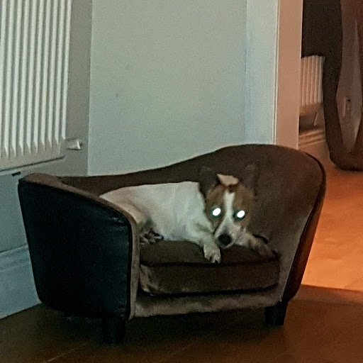 Alan Waters Photo 36