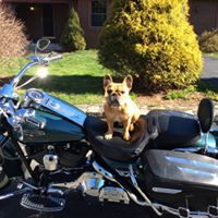 James Duffy Photo 38