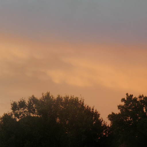 Becky Monroe Photo 19