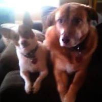 Nancy Novack Photo 12