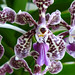Amy Glynn Photo 23
