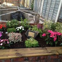 Andrew Irwin Photo 22