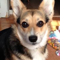 Janice Warner Photo 21