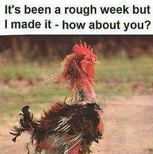 Cathy Hawkins Photo 38