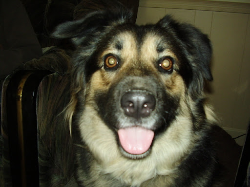 Bill Roth Photo 20