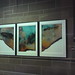 Thomas Duffy Photo 17
