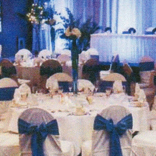 Anne Brewer Photo 14