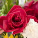 Martha Talley Photo 14
