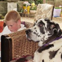 Sherry Gillespie Photo 7