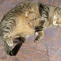 Charlene Phillips Photo 8