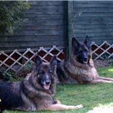 Anne Hayward Photo 14