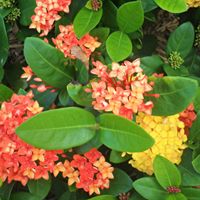 Martha Woody Photo 7