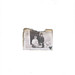 Linda Chrystal Photo 8