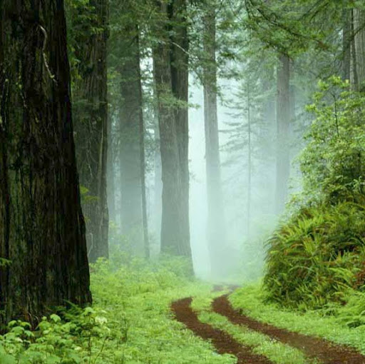 Chris Samson Photo 30