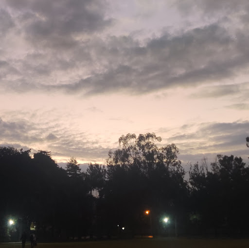 Anna Mathew Photo 15