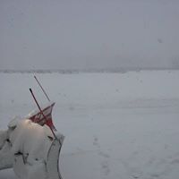 Fred Mullen Photo 18