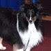 Nancy Abercrombie Photo 26