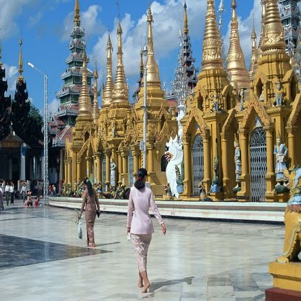 Teresa Rogers Photo 33