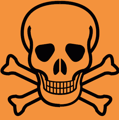 Shane Fagan Photo 13