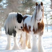 Wanda Pearson Photo 18