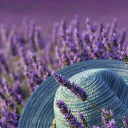 Lydia Torres Photo 15