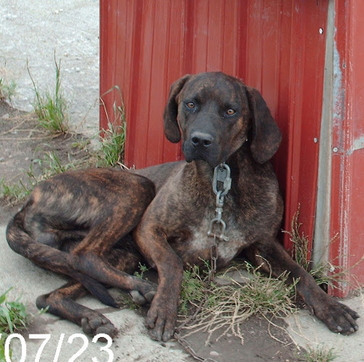 Amanda Oliver Photo 21