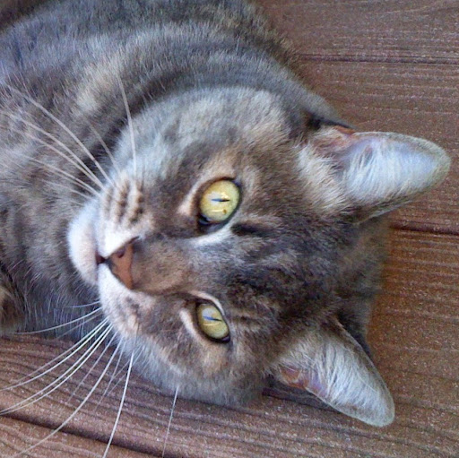 Stephanie Staley Photo 24