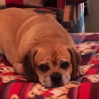 Linda Ferris Photo 9