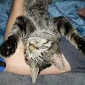 Ashley Mccord Photo 3