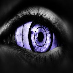 Susan Dodson Photo 6