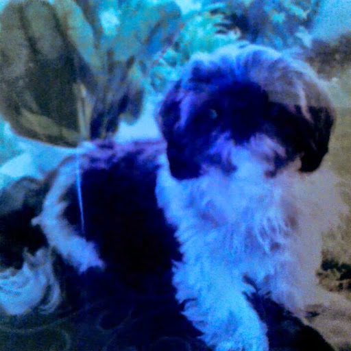 Fred Green Photo 4 Fred Green Photo 4