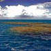 Michael Reef Photo 13