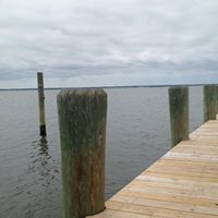 Suzanne Glick Photo 3