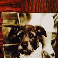 Teresa Schroeder Photo 23