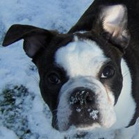 Margaret Mcclure Photo 40