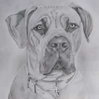 Kenneth Lock Photo 6