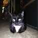 Joey Reeves Photo 35
