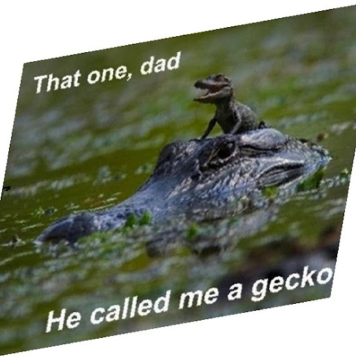 Tony Harmon Photo 18