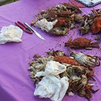 Victoria Curtis Photo 15