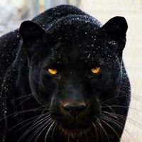 Vivian Green Photo 17 Vivian Green Photo 17