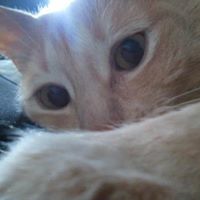 Felix Jenkins Photo 6