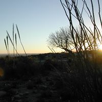 Jesse Cross Photo 27