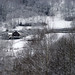 Robert Pollack Photo 21