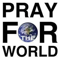 Stephanie Wilkin Photo 19