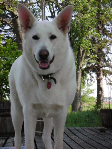 Rhonda Moody Photo 9