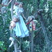 Marcia Bower Photo 10