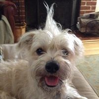 Angela Sommers Photo 21