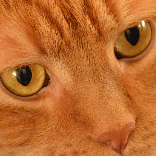 Dwight Saunders Photo 14