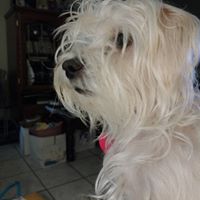 Cheryl Parnell Photo 19