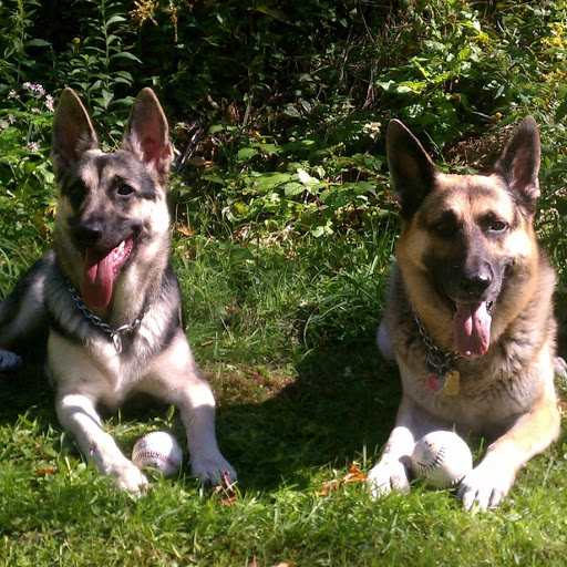 Nancy Figueroa Photo 32